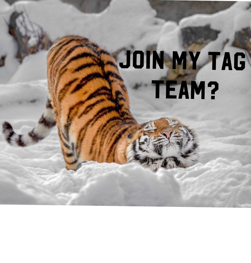 Join my tag team?